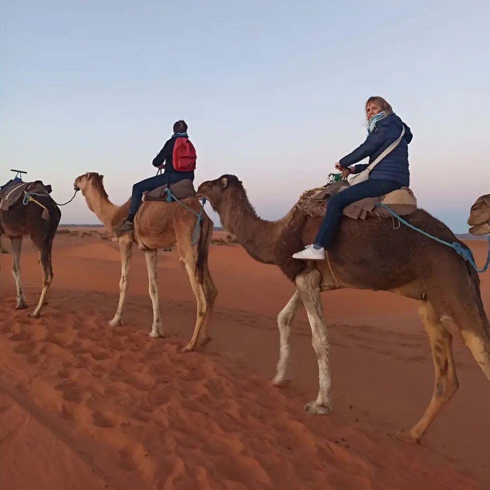 Fes Desert Tours